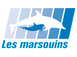 Les Marsouins Aigle